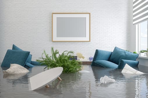 Water & Flood Damage
